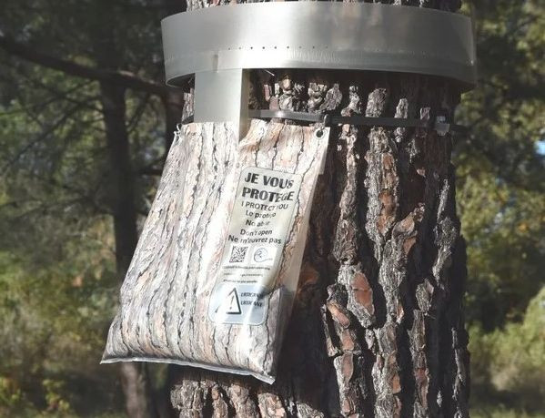 Ecopiège chenilles processionnaires à Saint-Maurice-l'Exil | LAM-Multiservices